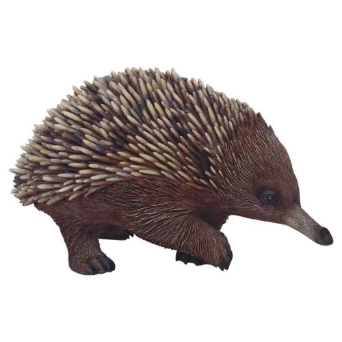 Echidna Anton Mascot